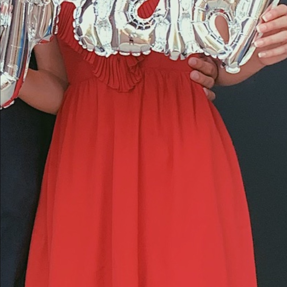 Revolve Ruffle Dress - Picture 3 of 5